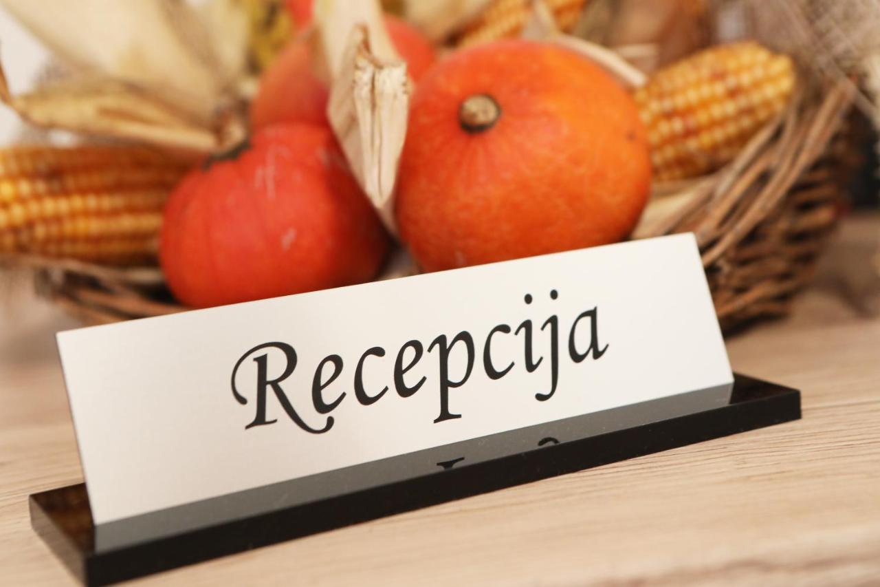 Apartma Vila Zigmund Cerknica Εξωτερικό φωτογραφία