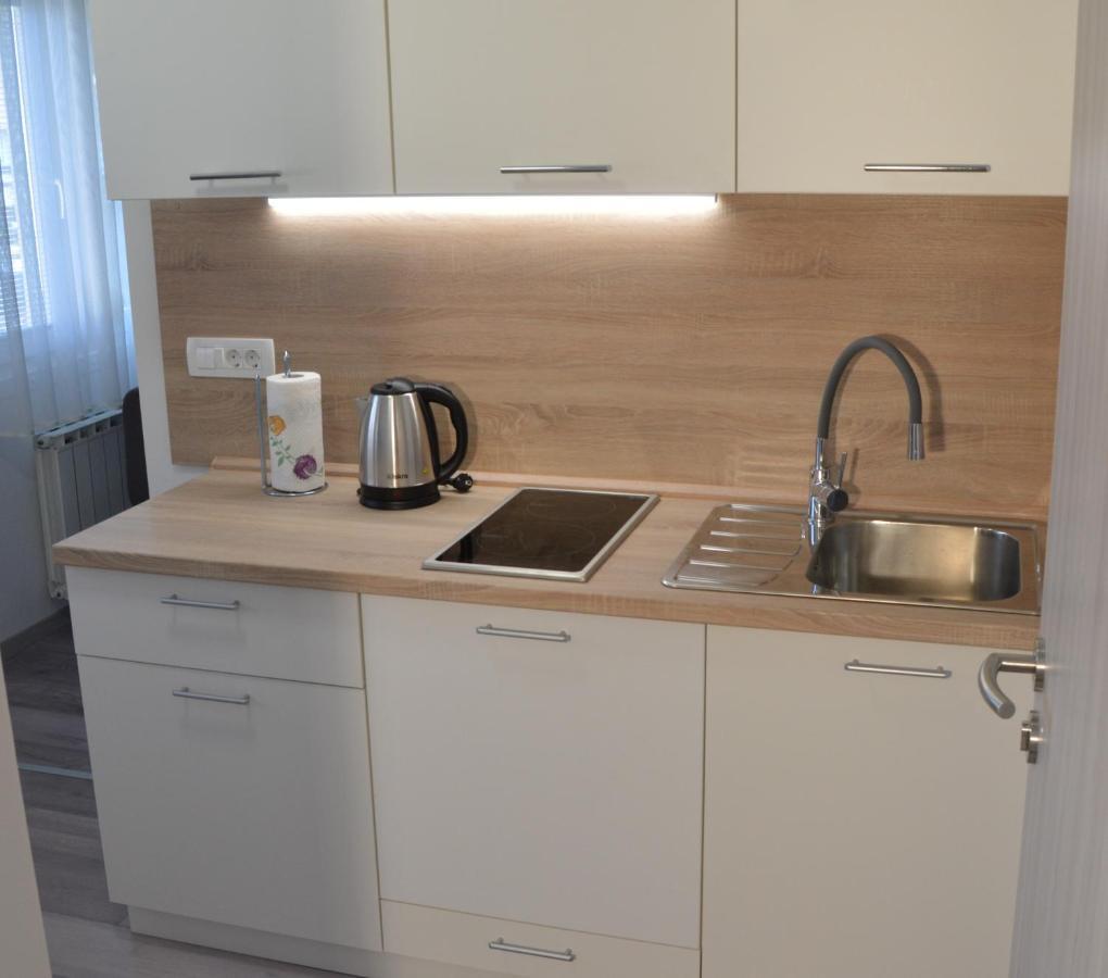 Apartma Vila Zigmund Cerknica Εξωτερικό φωτογραφία