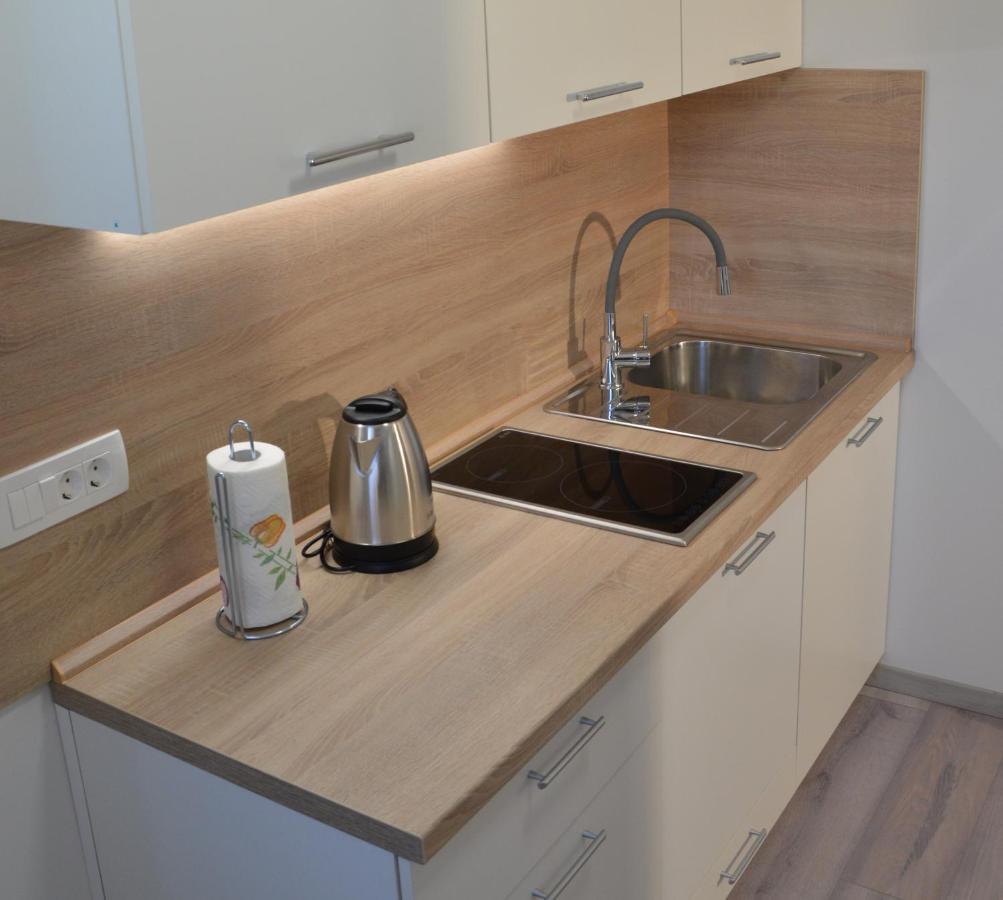 Apartma Vila Zigmund Cerknica Εξωτερικό φωτογραφία